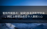 蜜桃传媒盘点：秘闻5条亲测有效秘诀，网红上榜理由疯狂令人震撼人心