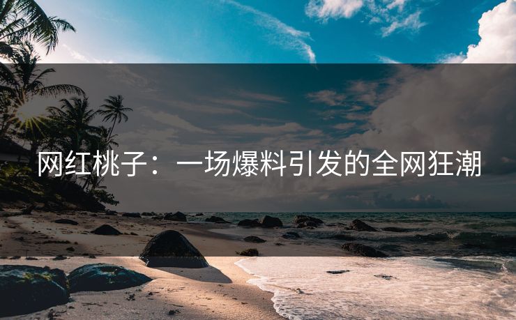 网红桃子：一场爆料引发的全网狂潮