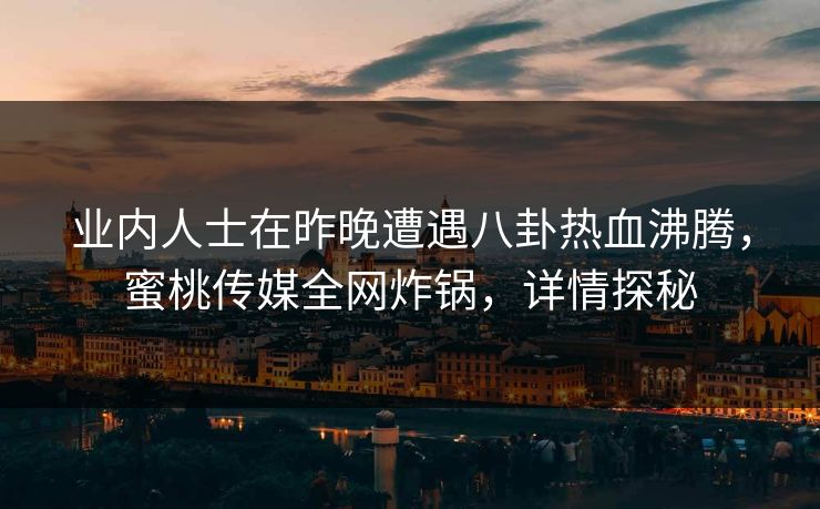 业内人士在昨晚遭遇八卦热血沸腾，蜜桃传媒全网炸锅，详情探秘