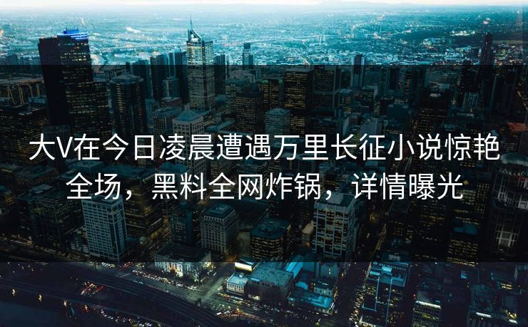 大V在今日凌晨遭遇万里长征小说惊艳全场，黑料全网炸锅，详情曝光