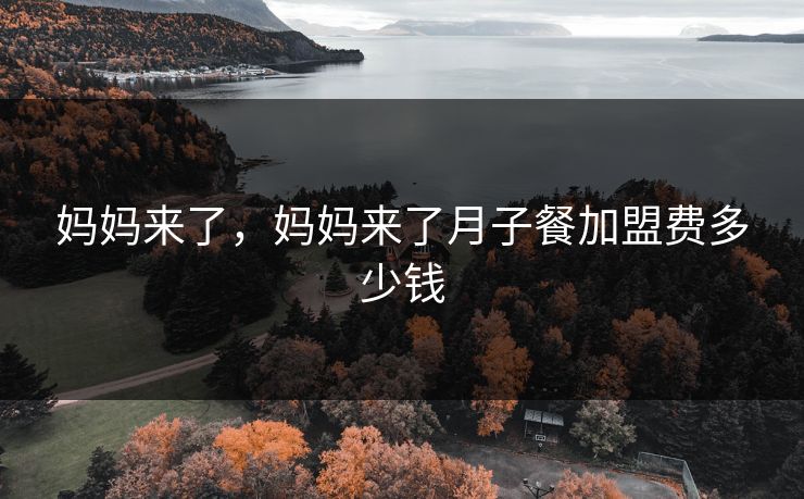 妈妈来了，妈妈来了月子餐加盟费多少钱