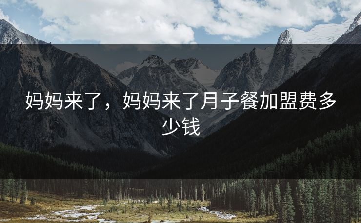妈妈来了，妈妈来了月子餐加盟费多少钱