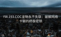 YW.193.COC龙物永不失联：破解网络卡顿的终极密钥