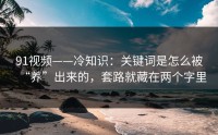 91视频——冷知识：关键词是怎么被“养”出来的，套路就藏在两个字里
