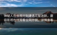 神秘人在傍晚时刻遭遇花絮迷醉，蘑菇影视在线观看全网炸锅，详情查看