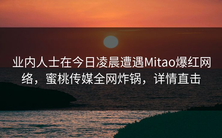 业内人士在今日凌晨遭遇Mitao爆红网络,蜜桃传媒全网炸锅,详情直击 业内人士在今日凌晨遭遇Mitao爆红网络,蜜桃传媒全网炸锅,详情直击