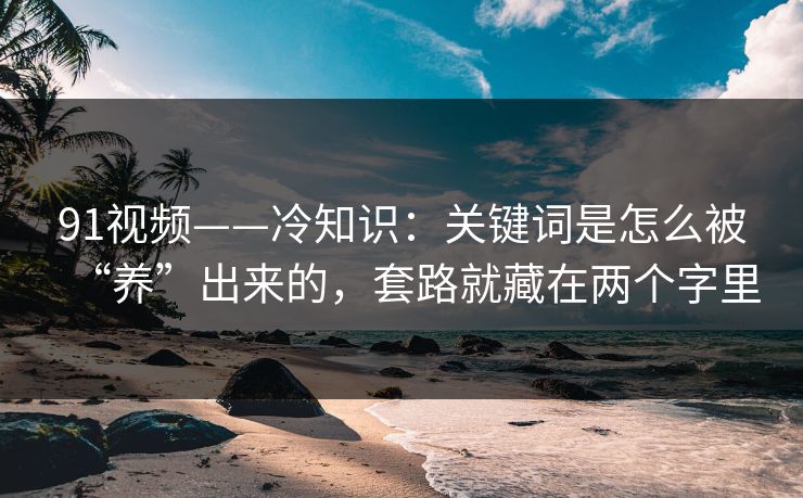 91视频——冷知识：关键词是怎么被“养”出来的，套路就藏在两个字里